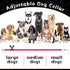 3 Pieces LED Dog Collar Light Up Rechargeable Dog Lights for Night Walking, Adjustable for Large Medium Small Dogs