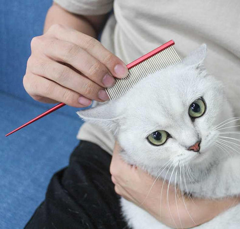 Pet Grooming Comb, Rat Tail Comb for Cat Hair Trimming, Dog Hairstyle Comb, Float Hair Removal for Home Grooming, One