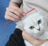 Pet Grooming Comb, Rat Tail Comb for Cat Hair Trimming, Dog Hairstyle Comb, Float Hair Removal for Home Grooming, One