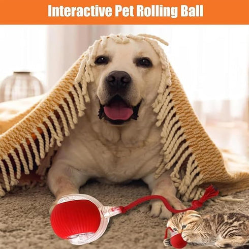 AUTRETY 2025 Toy,360 New Electric Dog Ball Smart Automatic Interactive Rolling Dog Ball, Smart Pet Toy Ball,Interactive