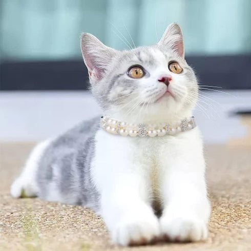 Dog Cat Pearl Collars - Adjustable Crystal Rhinestone PU Leather Necklace, Medium Size, White Pearl Pet Collar