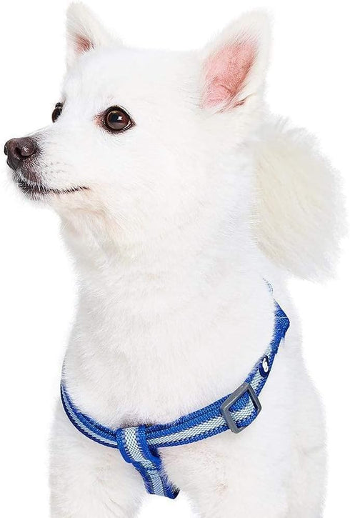 Blueberry Pet Essentials Step-in Reflective Dog Harness, Navy Blue, Chest Girth 20" - 26", Medium, Adjustable Harnesses