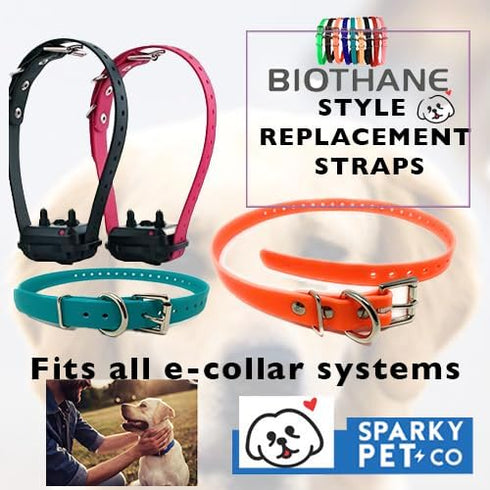 Sparky Pet Co 3/4" Biothane Replacement Roller Buckle Dog Collar, Teal