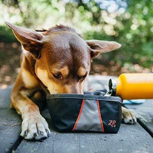 ZippyPaws Adventure Dog Bowl - Graphite Color