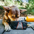 ZippyPaws Adventure Dog Bowl - Graphite Color