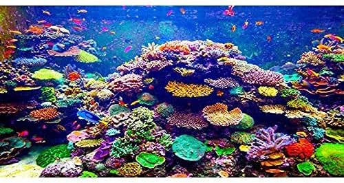AWERT Undersea Theme Aquarium Background, 24x16 inches Vinyl Colorful Coral & Tropical Fish