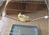 Bird Rope Perches, Parrot Toys, 21 Inches Rope Bungee Bird Toy, 1 Pack
