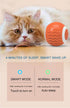 Generic Cat Toys Interactive Spinning Ball, Automatic Rolling Smart for Cats Training, with Flashing LED Lights