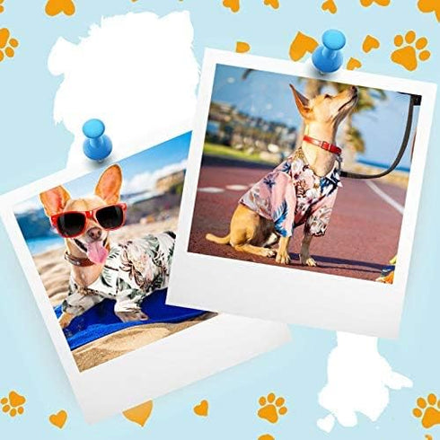 Weewooday 4 Pieces Small Pet Summer T-Shirts, Hawaii Style Floral Pet Dog Shirt for Beach Seaside Puppy (Floral Style,