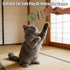 Eralivmart 3PCS Cat Dental Toys Health Chew Creative Fishbone Shape Teething with Catnip Fix Your Cats Health Natural