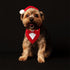 Dog Wedding Bandana, Adjustable Formal Tuxedo Collar with Bow for Small, Medium, and Large Dogs, Birthday Gifts (Large,
