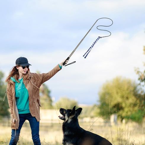 POPETPOP Flirt Pole for Dogs, Interactive Teaser Wand with 2 Rope Chew Toys for Training and Exercise (Size L)