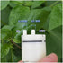 WLBQZESEG 2.4V-3V 370 DC Small electronic starter Air Pump Vacuum Negative Pressure Suction Pump DIY Inflator Breast