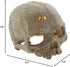 emours Reptile Hideout Skull Vivarium Aquarium Fish Tank Resin Ornament Cave Decoration, Small