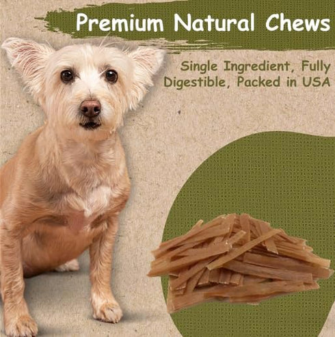 Top Dog Chews Flat Turkey Tendons for Dogs, 1LB (16 OZ), Made in The USA, 100% Natural Chew Treats