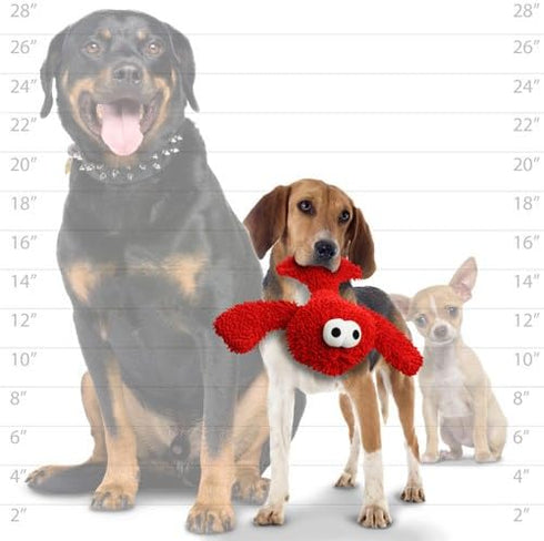 MIGHTY Microfiber Ball Lobster - Strong & Tough Interactive Dog Toy with Squeaker, Machine Washable