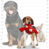 MIGHTY Microfiber Ball Lobster - Strong & Tough Interactive Dog Toy with Squeaker, Machine Washable