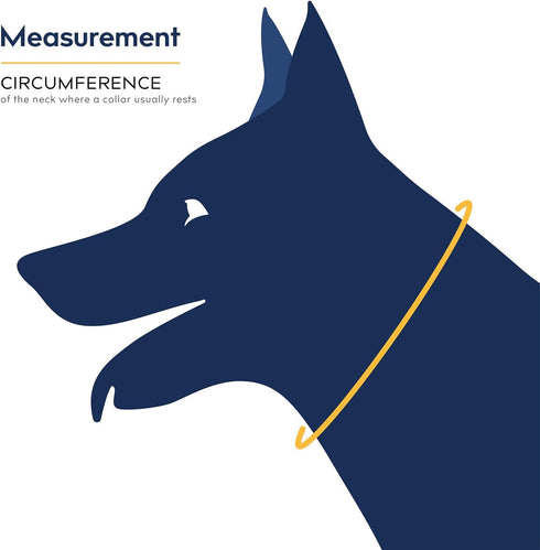 Balto Neck Eco E-Collar Alternative – Padded Dog Cone for Recovery, Protects Wounds and Rashes (Extra Small)