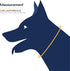 Balto Neck Eco E-Collar Alternative – Padded Dog Cone for Recovery, Protects Wounds and Rashes (Extra Small)