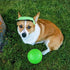 Jolly Pets 6 Inch Medium Soccer Ball, Floating Bouncing Dog Toy in Apple Green