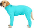 Dog Onesie Prevent Shedding - Surgery Recovery Suit for Pets, Bodysuit Sport Shirt (XS, Lake Blue)