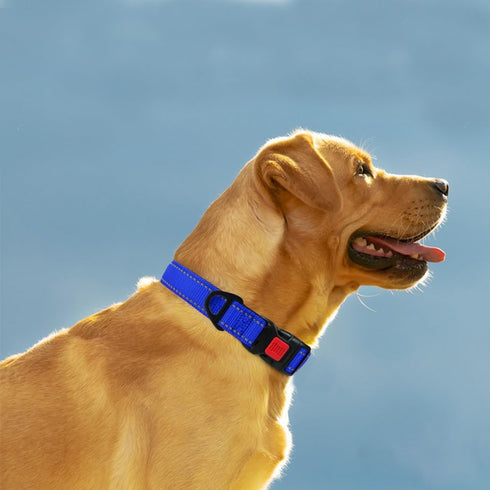 Taglory Adjustable Reflective Dog Collar with Safety Locking Buckle, Nylon Pet Collars for Large Dogs, Navy Blue, L