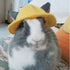 ANIAC Funny Cat Hat for Cat XXS Dog Sun Hat with Ears Hole, Rabbit Outfit for Bunny Mini Sombrero Puppy Hat for Small