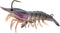 Generic Fishing Lure Shrimp Jig Bait lsh95sk 3/8oz Color # 3/8oz White Shrimp