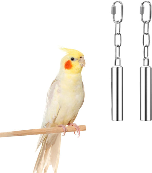 Stainless Steel Bell Toy for Bird Cage - Hanging Bite Toy for Parrot, Parakeet, Budgie, Cockatiel (2 PCS-S)