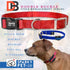 Sparky Pet Co ECollar Replacement Strap, Double Buckle Dog Collar, Rugged Nylon, Adjustable, Neon Orange