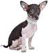 Pimaodog Rhinestones Dog Collar, Cute Dazzling Soft Suede Leather Pet Collar with Bell, Blue Crystal Jeweled Necklace