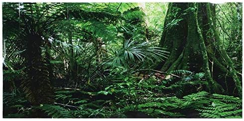 TOPINCN 3D Effect Rainforest Poster Self-Adhesive PVC Aquarium Fish Backdrop Mural Decorative Reptile Terrarium