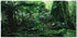 TOPINCN 3D Effect Rainforest Poster Self-Adhesive PVC Aquarium Fish Backdrop Mural Decorative Reptile Terrarium