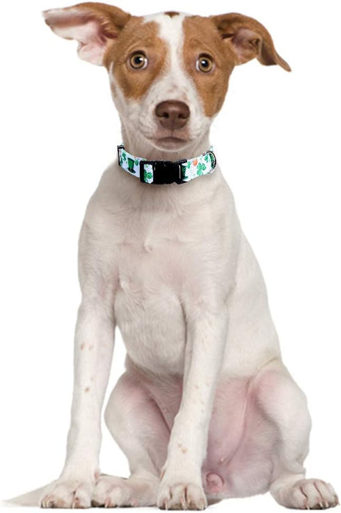 2 Pack Adjustable St. Patrick's Day Dog Collar with Four Leaf Clover for Large Dogs