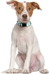 2 Pack Adjustable St. Patrick's Day Dog Collar with Four Leaf Clover for Large Dogs