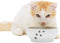 Necoichi Ceramic Cat Bowls for Indoor Cats, Whisker Friendly, Anti-Spill Feeding, Cute Cat Dishes