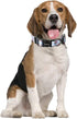 Ihoming Dog Collar and Leash Set for Medium Dogs, Floral Sky Design for Daily Outdoor Walking & Training