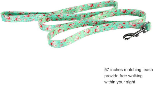 Ihoming Dog Collar and Leash Set, Floral GreenLake Design for Large Dogs Cats, Daily Outdoor Walking Training, L-Up to