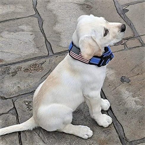 Dog Collars for Large Dogs - 2 inch Wide Personalized Collar with Metal Buckle American Flag Patch