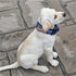 Dog Collars for Large Dogs - 2 inch Wide Personalized Collar with Metal Buckle American Flag Patch