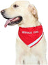 Doggie Stylz Service Dog Bandana XS Blue with Reflective Strip for Night Safety, Built-in Matching Collar