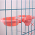 Double Dog Bowls, Dual Pets Hanging Pet Bowl for Food and Water Feeder, Plastic for Small Medium Dogs Cats