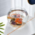 Newpol 3 Gallon Plastic Fish Bowl, 11.5L Aquarium Fish Tank