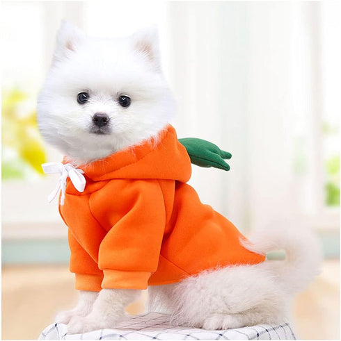 XIAOYU Pet Clothes Dog Hoodies, Warm Sweatshirt Coat for Puppy Autumn Winter Apparel, Carrot, M