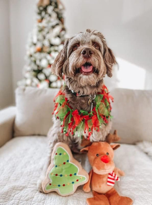 Midlee Christmas Reindeer Plush Dog Toy with Scarf, Squeaky Holiday Pet Gift