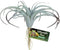 Zoo Med Naturalistic Flora, Tillandsia Air Plant
