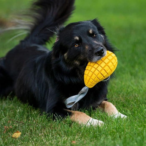 HS HERM. SPRENGER GERMANY Mango Chew Toy | Large Natural Rubber Chew Toy for Aggressive Chewers