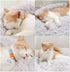 Cat Beds for Indoor Cats, 20 Inch Round Dog Bed for Small Medium Large Dogs, Washable with Slip-Resistant Bottom