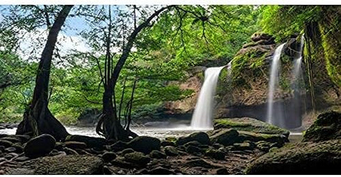 AWERT 48x18 inches Durable Polyester Waterfall Terrarium Background, Tropical Rainforest Aquarium Background