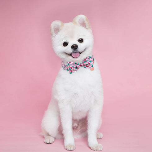 Valentine Dog Collar with Bow Tie, Cotton Pink Collar for Puppy Girl Boy Dog or Cat, XS, Neck 8-12in